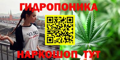 МДПВ Пугачёв