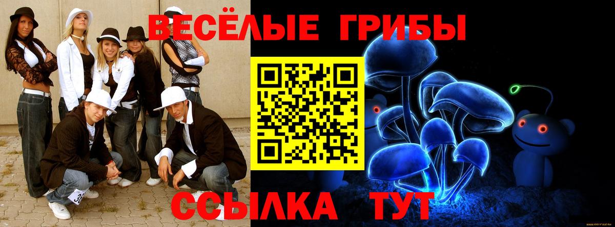 Псилоцибиновые грибы Psilocybe Тольятти