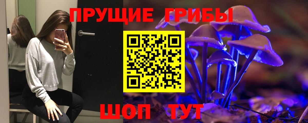 Галлюциногенные грибы Magic Shrooms  Вход с VPN  Тольятти 
